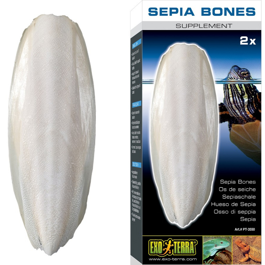 Exo Terra Sepia Bone (XXL x2 PCS) Cuttlefish Bone Tortoise Calcium Reptile Supplement