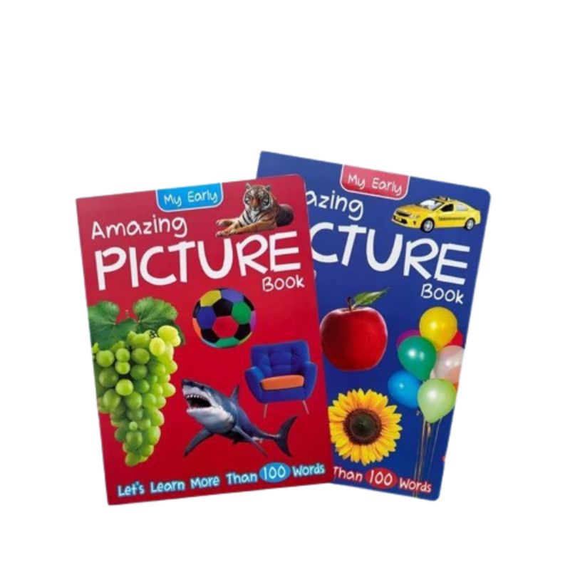 READY STOCK My Early Amazing PICTURE BOOK | Shopee Malaysia