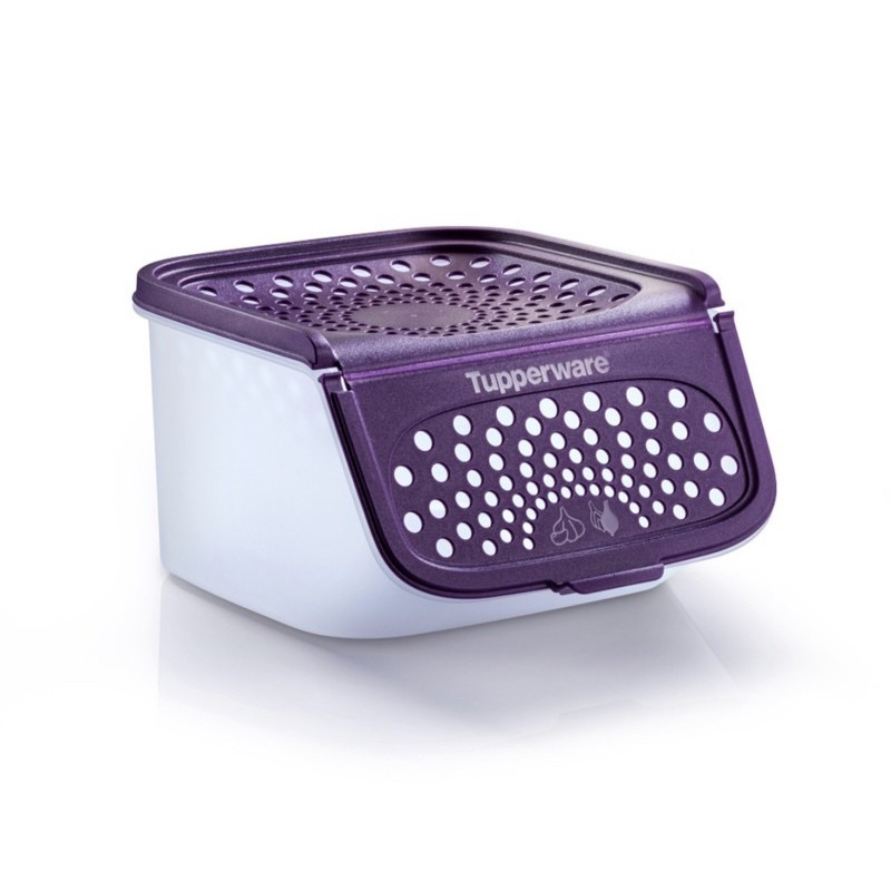 Tupperware Garlic N All Keeper 2.3L (1pcs) Shopee Malaysia