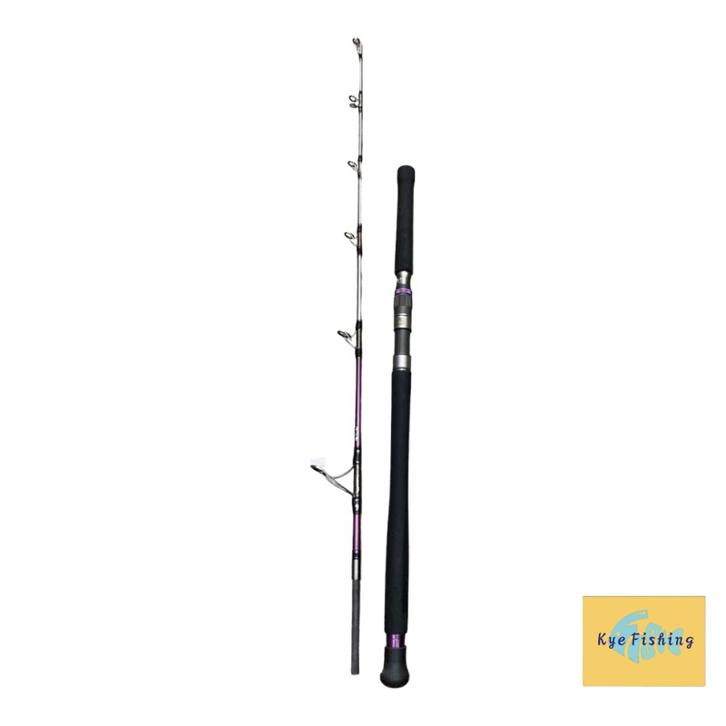ATC LIMITED EDITION ASTROGRAPH SPINNING JIGGING ROD | Shopee Malaysia