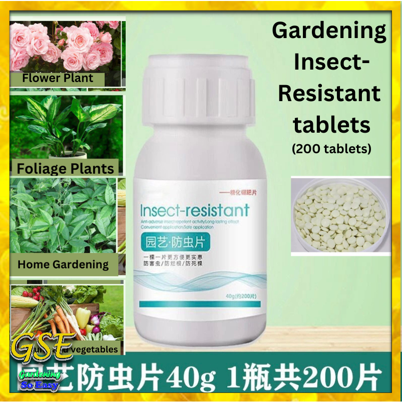 Gardening Insect Resistant 园艺防虫片糖化硼肥片【200 Tablets】Ubat Serangga ...