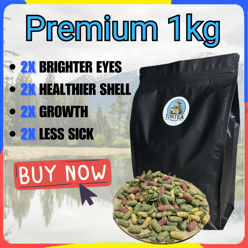 PETSEE LT20 Tortoise Food 陆龟粮 陸龜粮 Tortoise Pellet Sulcata Food Reptile ...