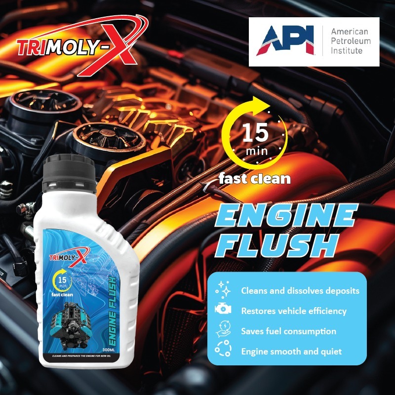 TRIMOLYX TRIMOLYX Engine Flush 300ML CAR MOTORCYCLE PETROL DIESEL