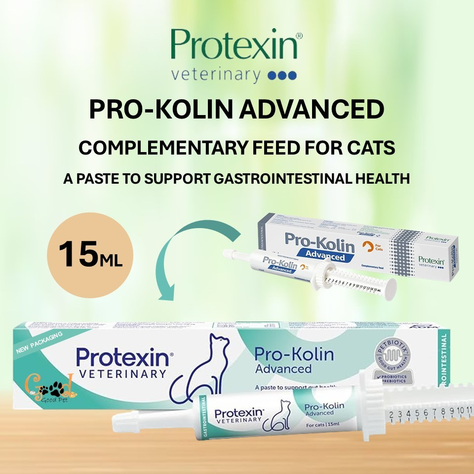 Pro-Kolin Advanced For Cat ~ 15 ML (EXP: 01/2028) / Support ...
