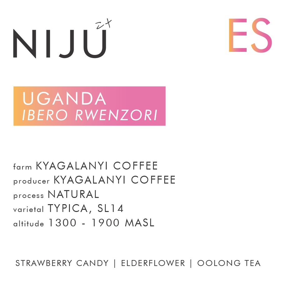 NIJU COFFEE UGANDA IBERO RWENZORI 250G/500G Coffee Beans 咖啡豆