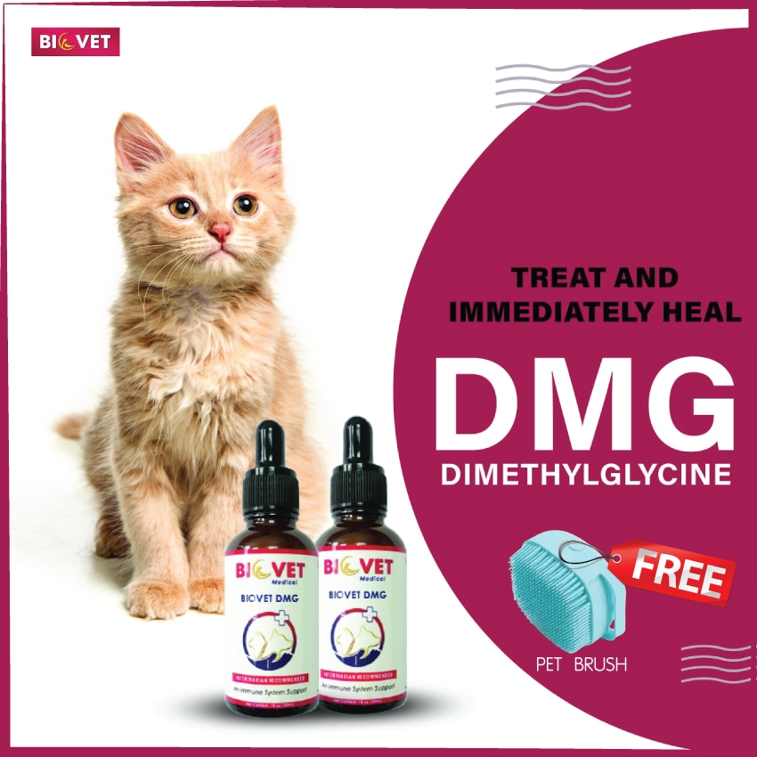 BIOVET DMG Dimethylglycine 30ml An Immune Support Sakit Kronik Sporo