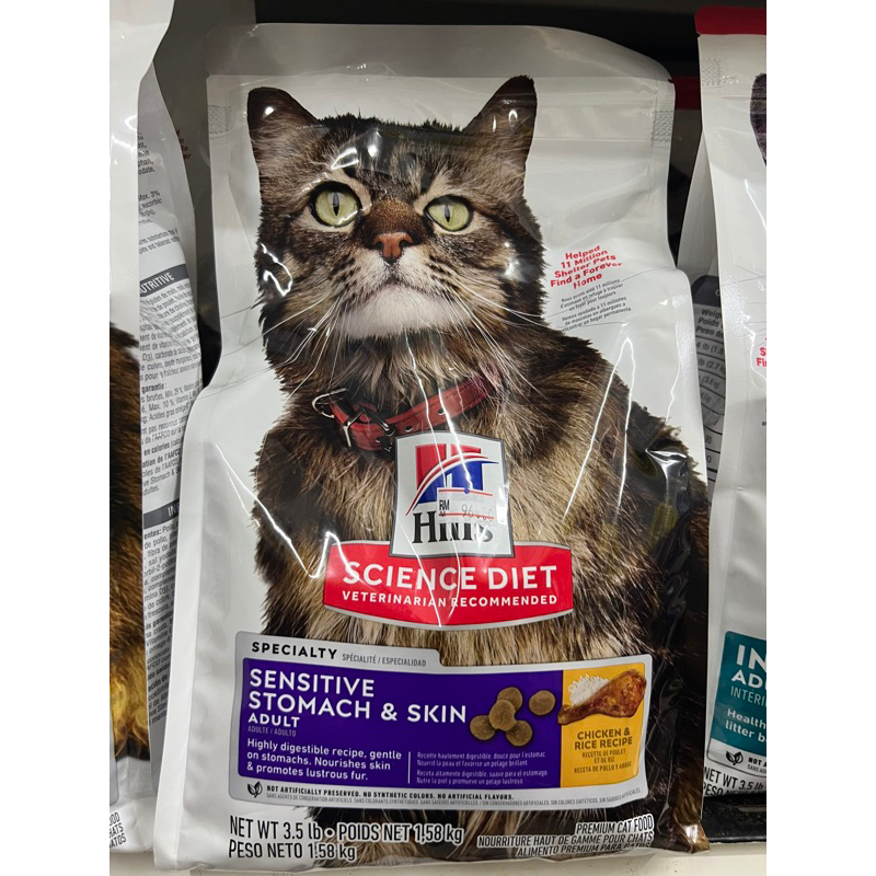 Detangling a cat's matted fur - Betterpet