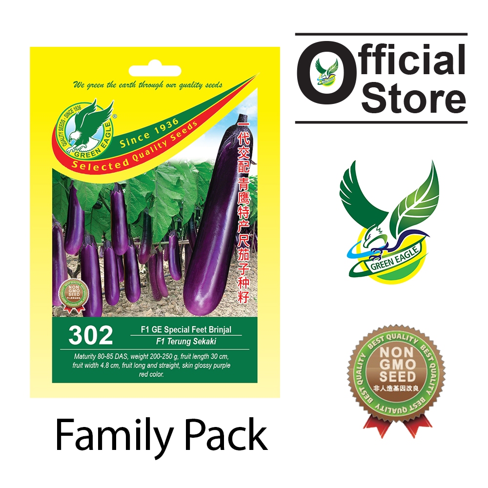 GE 302 F1 Hybrid GE Special Feet Brinjal [30 Seeds] | Shopee Malaysia