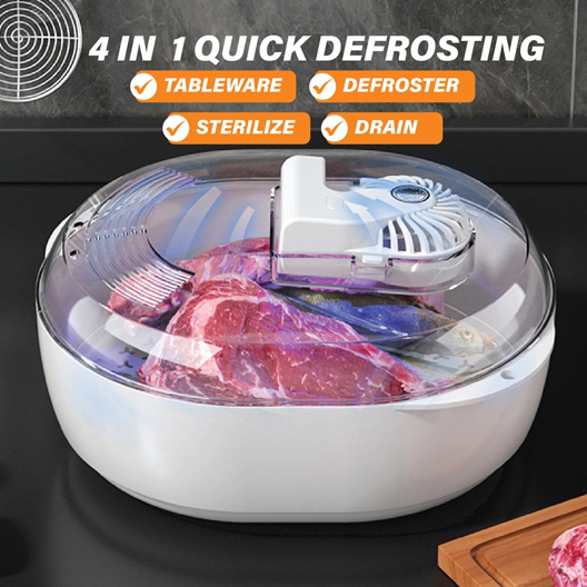 [Shopee Choice] Quick Defrosting Tray Multifunction Defroster USB ...