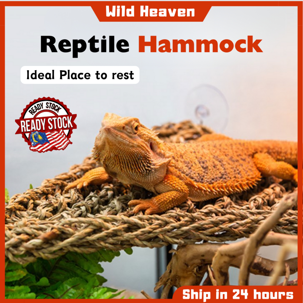 Snapshot of Reptile Basking Bed Materials
