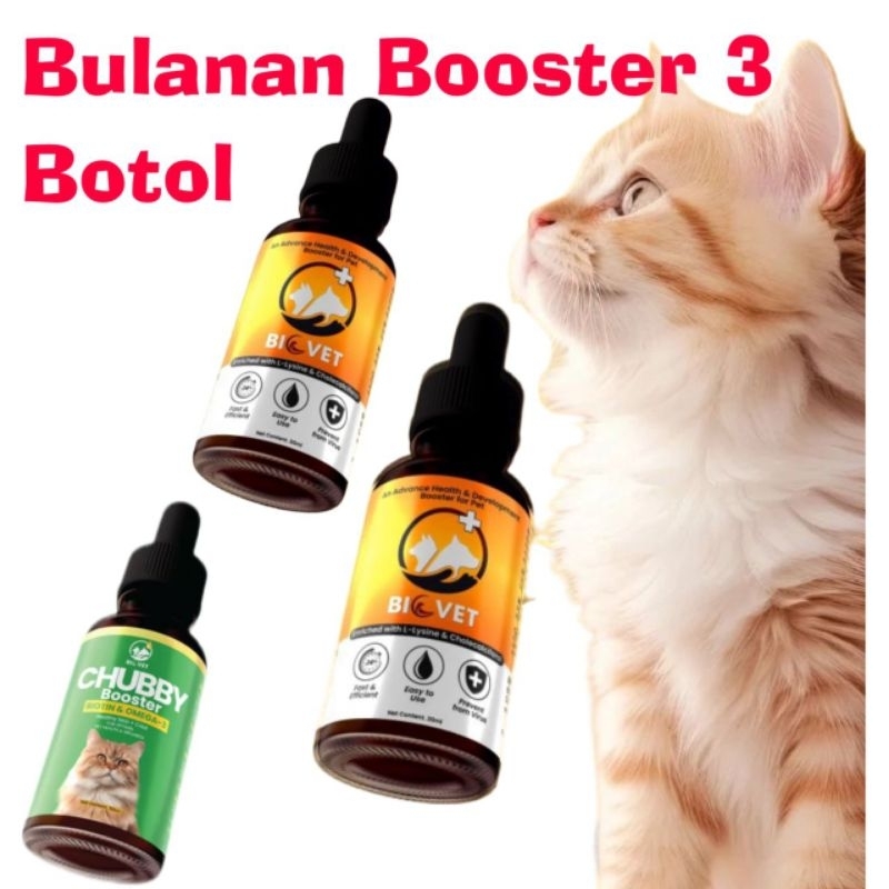 BULANAN BOOSTER BIOVET ADVANCE IMMUNE HEALTH BOOSTER & CHUBBY BOOSTER ...