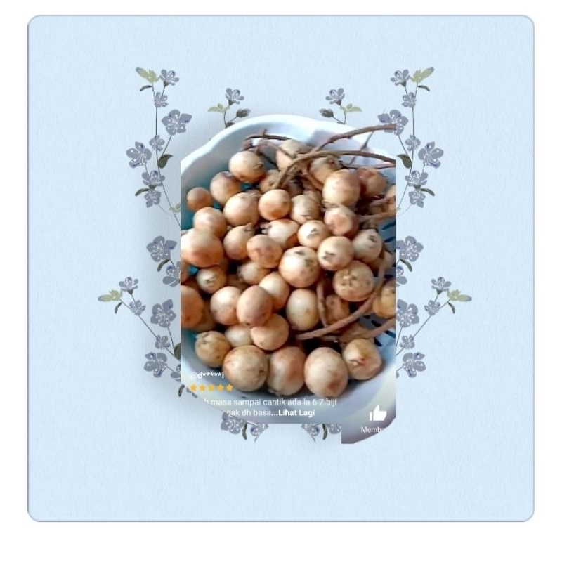 A buah rambai 1 kg buah rambai Z | Shopee Malaysia