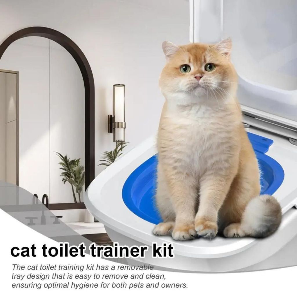 Dog Poop Can You Flush Cat Poop Down The Toilet Plumbing Cat Poop