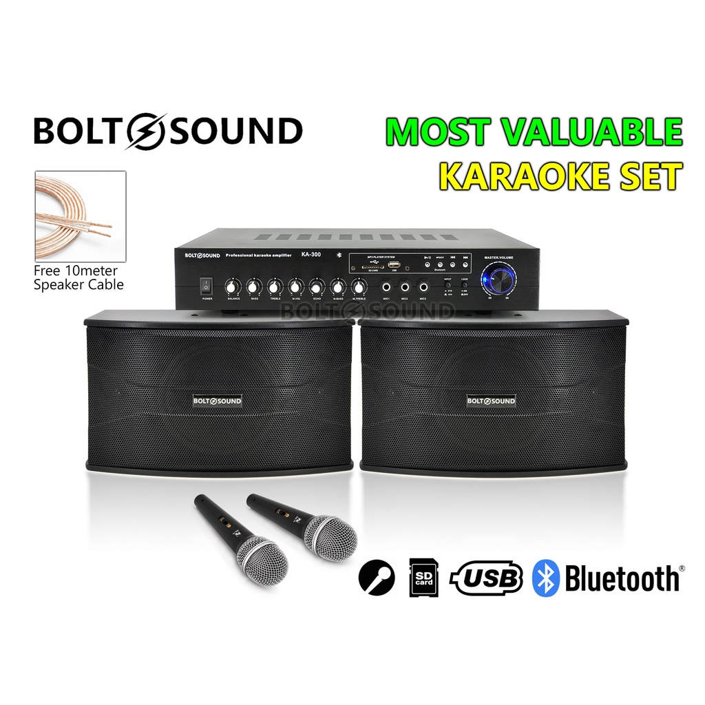 Sound system hot sale for singing