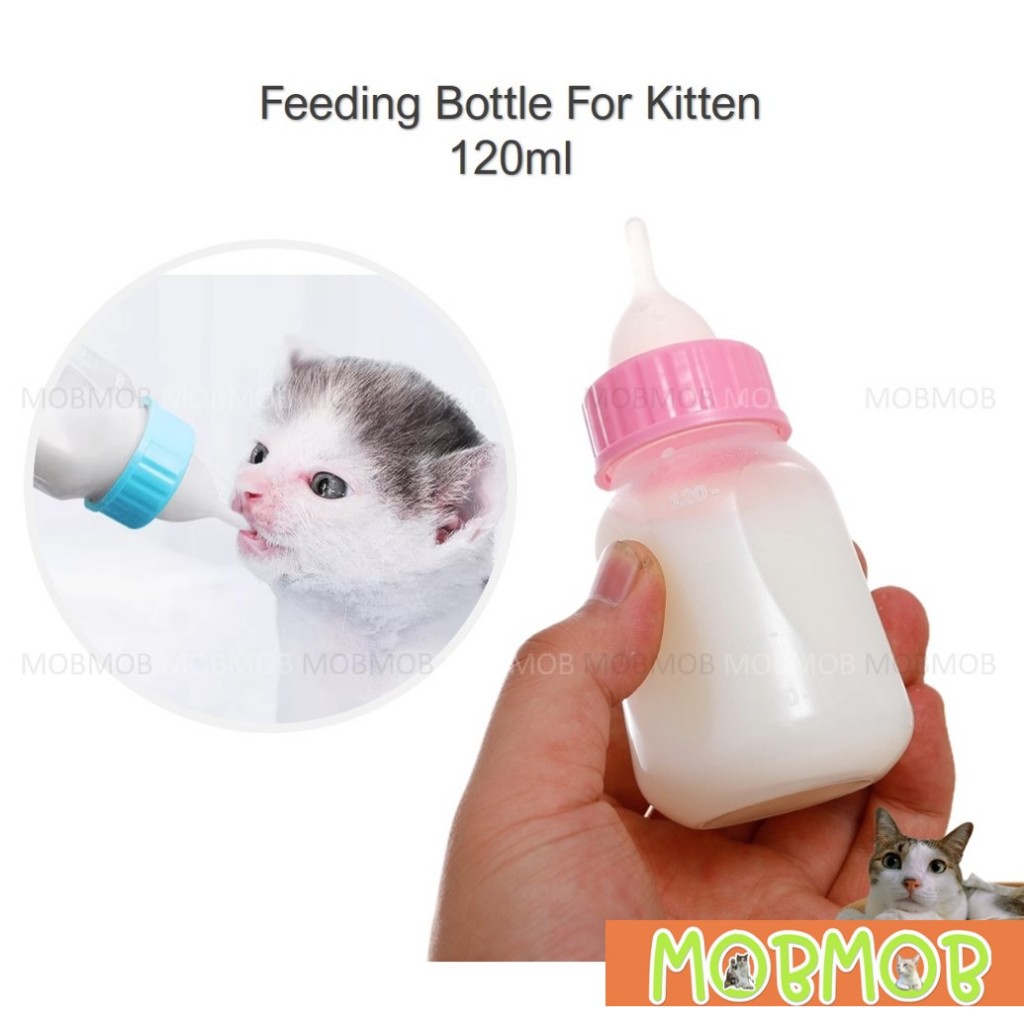 Kitten best sale milk bottle