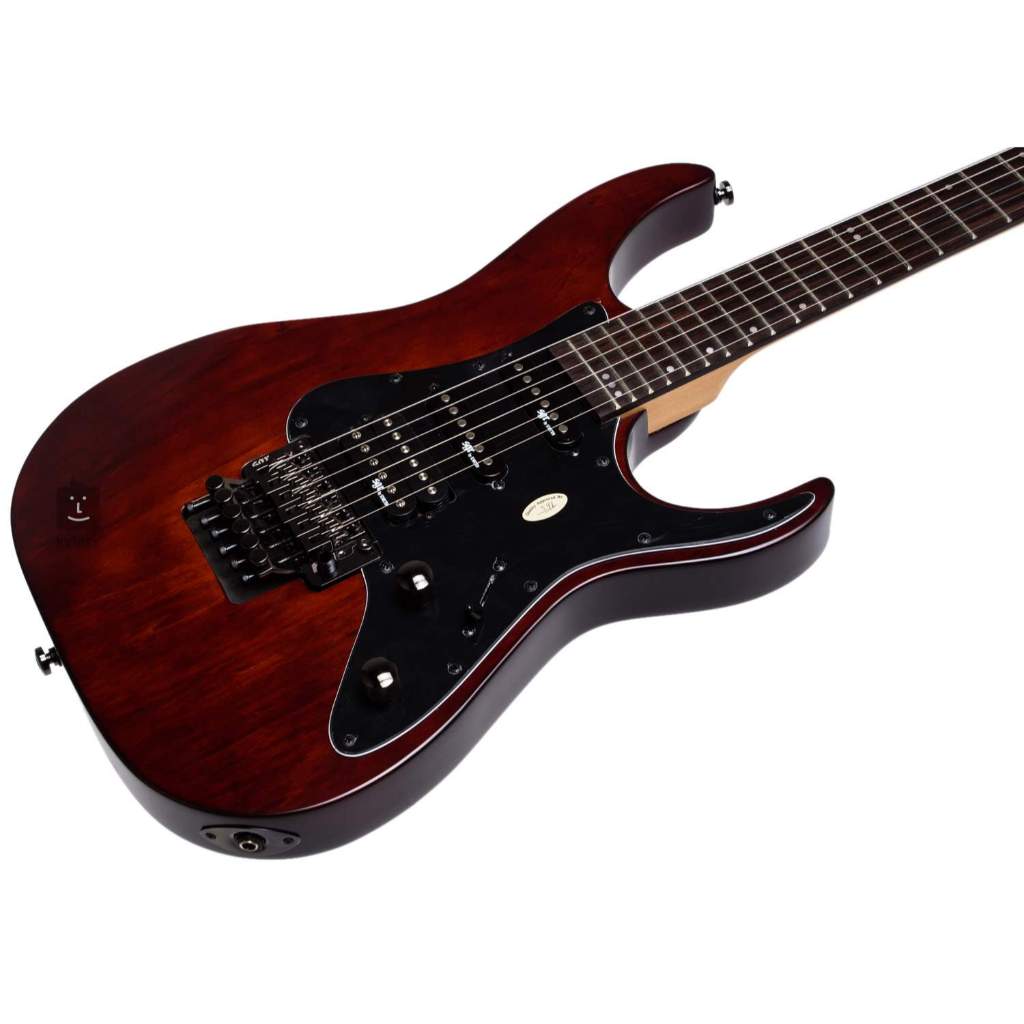NEW Schecter Floyd Rose Banshee 6 SGR Electric Guitar Original Shopee
