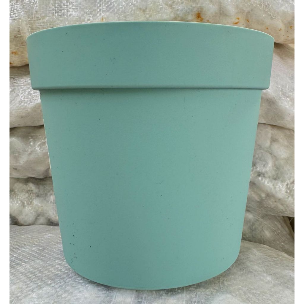 Baba BI-505W Pot Pasu Bunga Aesthetic Warna-Warni Flowering Plant ...
