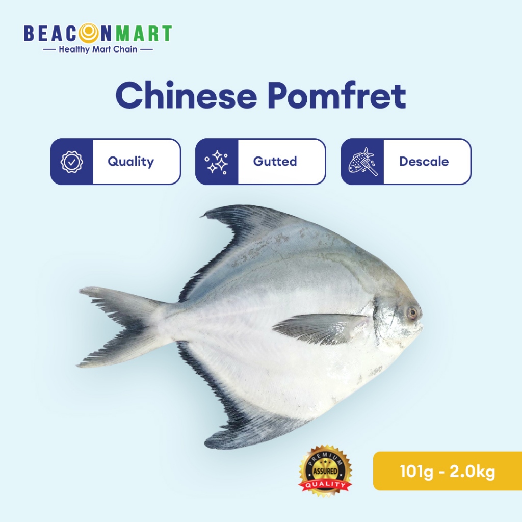 Beacon Mart Whole Fish Chinese Pomfret Shopee Malaysia