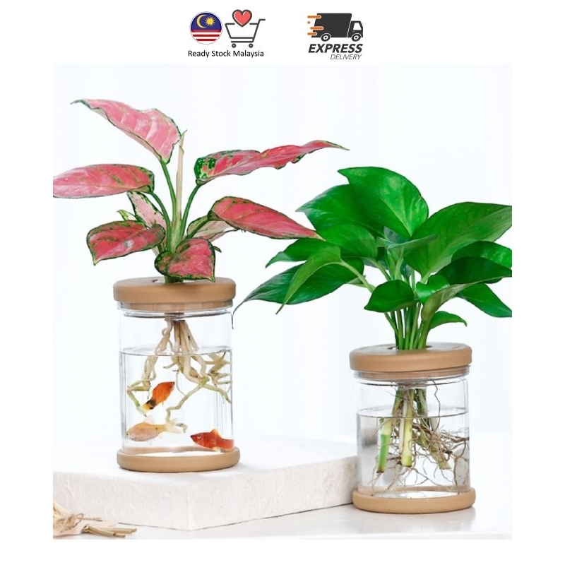plastic transparent pot fish pot | Shopee Malaysia