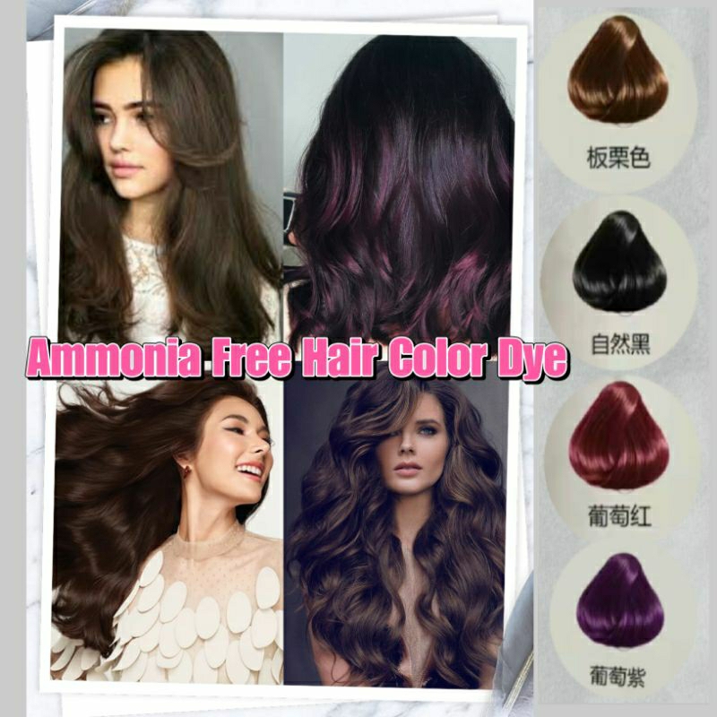 🍁38mlX2🍁 Ammonia Free BEAUTIFUL Eco Natural Hair Color Cream | Shopee ...