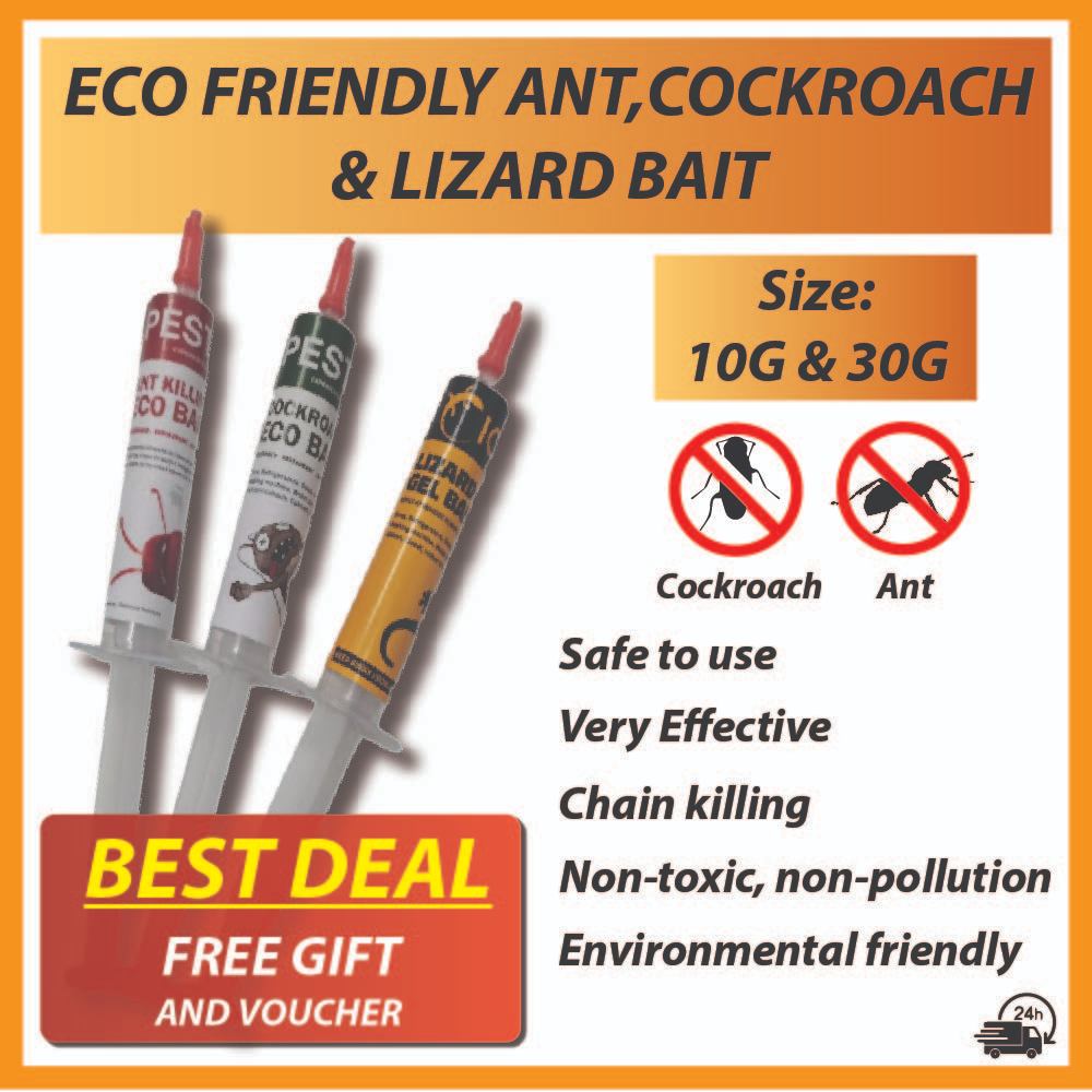 ANTRADE Eco Friendly Ant, Cockroach, Lizard Baits. Eco Friendly Gel