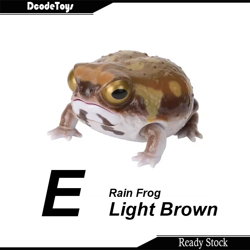 能面蛙 能面蛙 This frog has a very vibrant orange color. It looks
