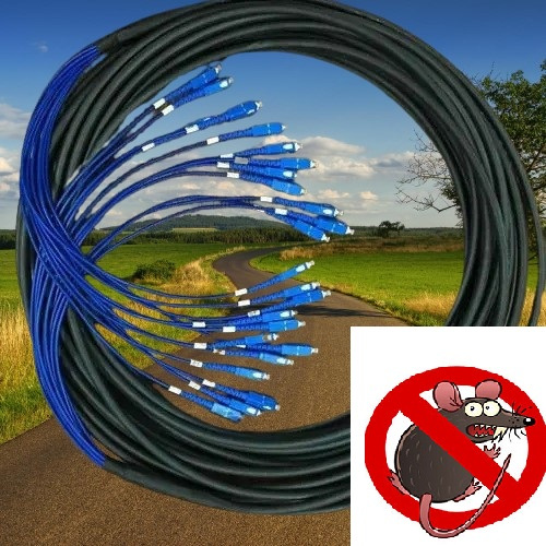 breakout cable Pre-termination 24core fiber outdoor armoured SC/SC ...