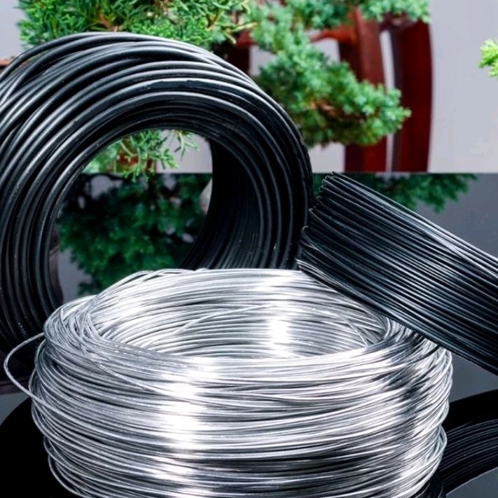 Asixxsix Bonsai-Draht Schwarz, 500 G – Aluminium-Trainingsdraht Zum Formen Von Bonsai-Zweigen