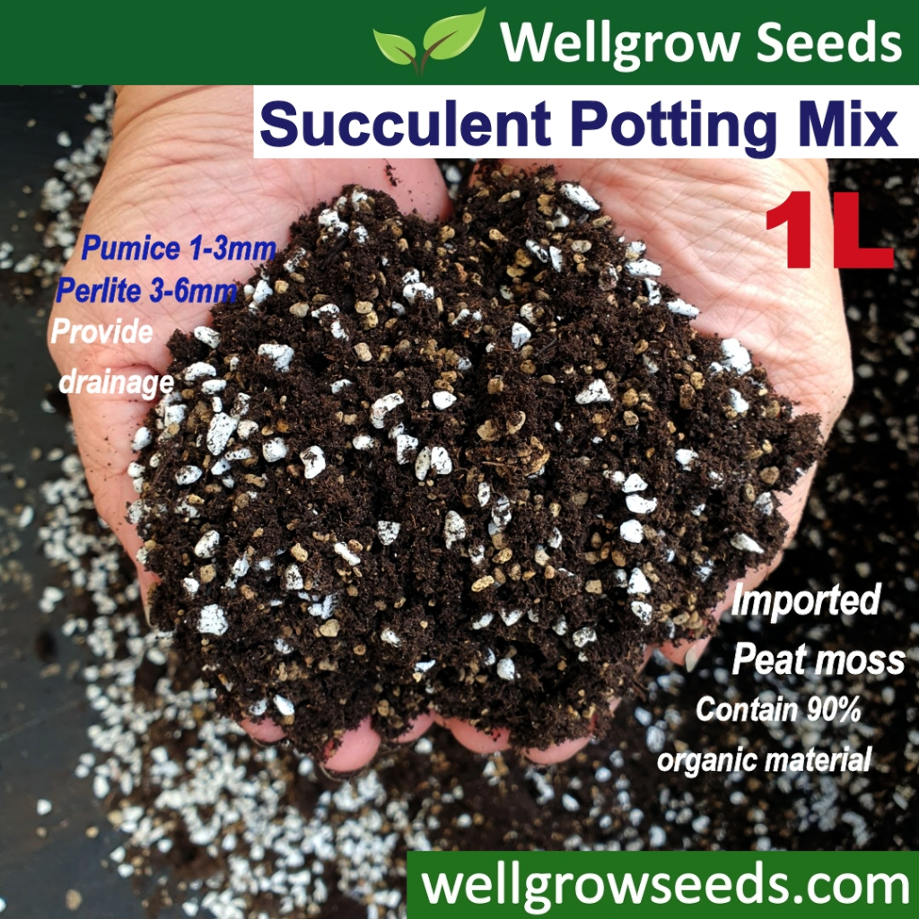 1L Succulent Potting Mix / Tanah Kaktus 仙人掌和多肉土 Cactus soil potting mix ...