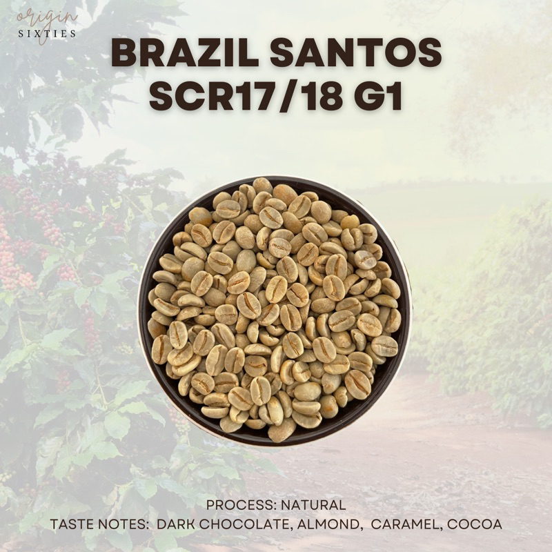 Brazil Santos Raw Unroasted Arabica Coffee Beans 500g 1kg Shopee Malaysia