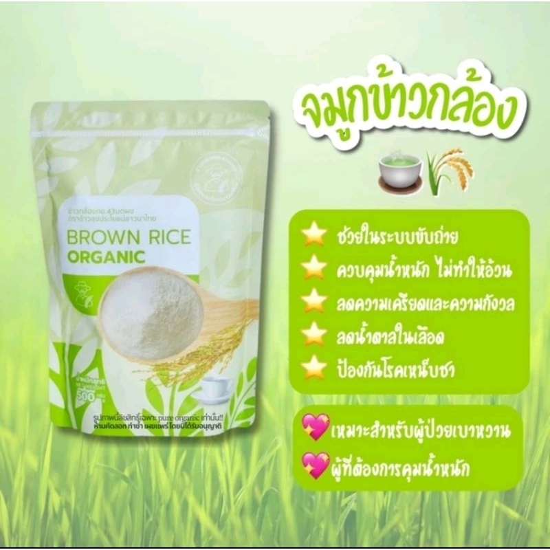 Brown rice germ powder organic, Brown rice. Shopee Malaysia