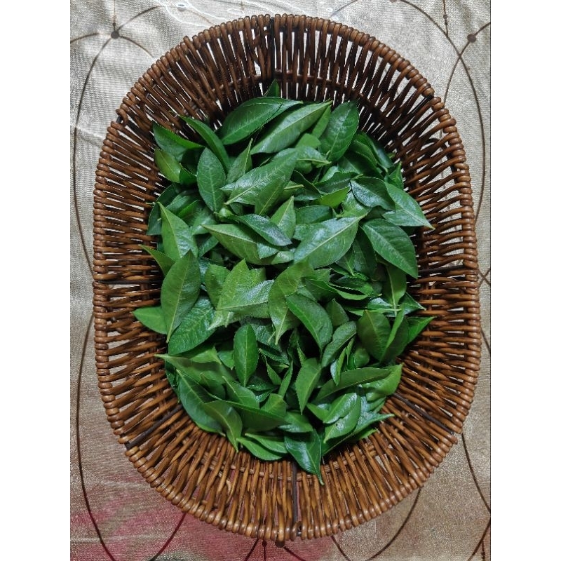 DAUN INAI SEGAR DAN ORGANIK (50 GRAM) | Shopee Malaysia