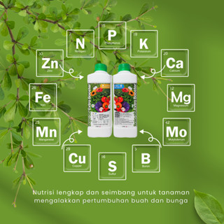 (Improved Version) 2L Baja AB Extra Booster Fertigasi Hidroponik ...