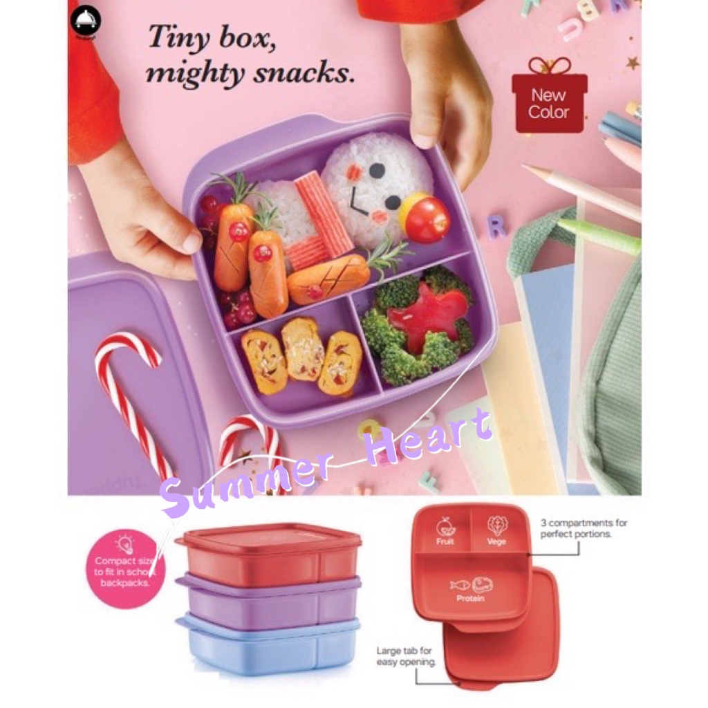 Tupperware Lollitup Lunch Box 550ml 1pc Shopee Malaysia