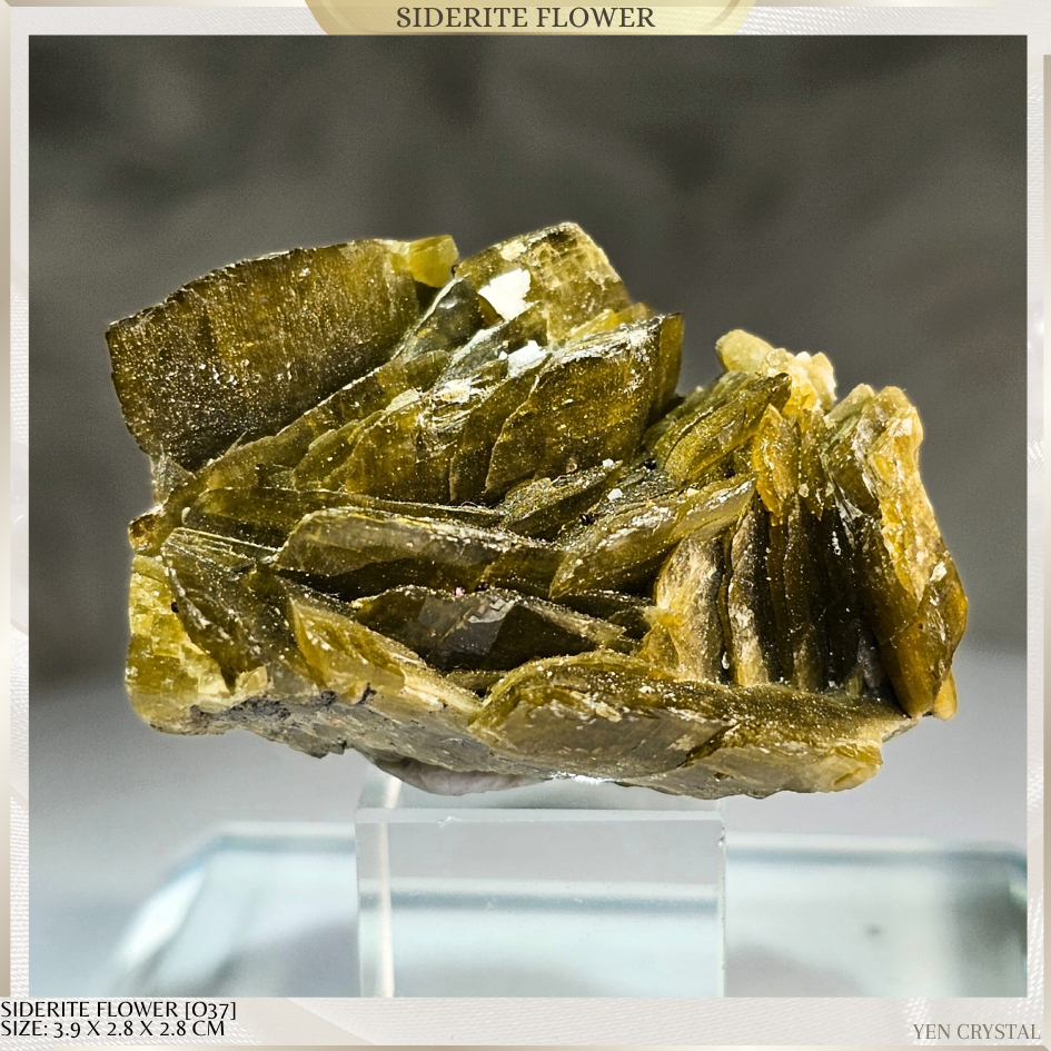 SIDERITE FLOWER*HIGH QUALITY*AUSTRIA [O37]Success & Wealth, Stability ...