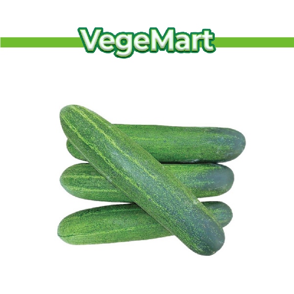 [Fresh Vege] Cucumber Timun 1kg | Shopee Malaysia