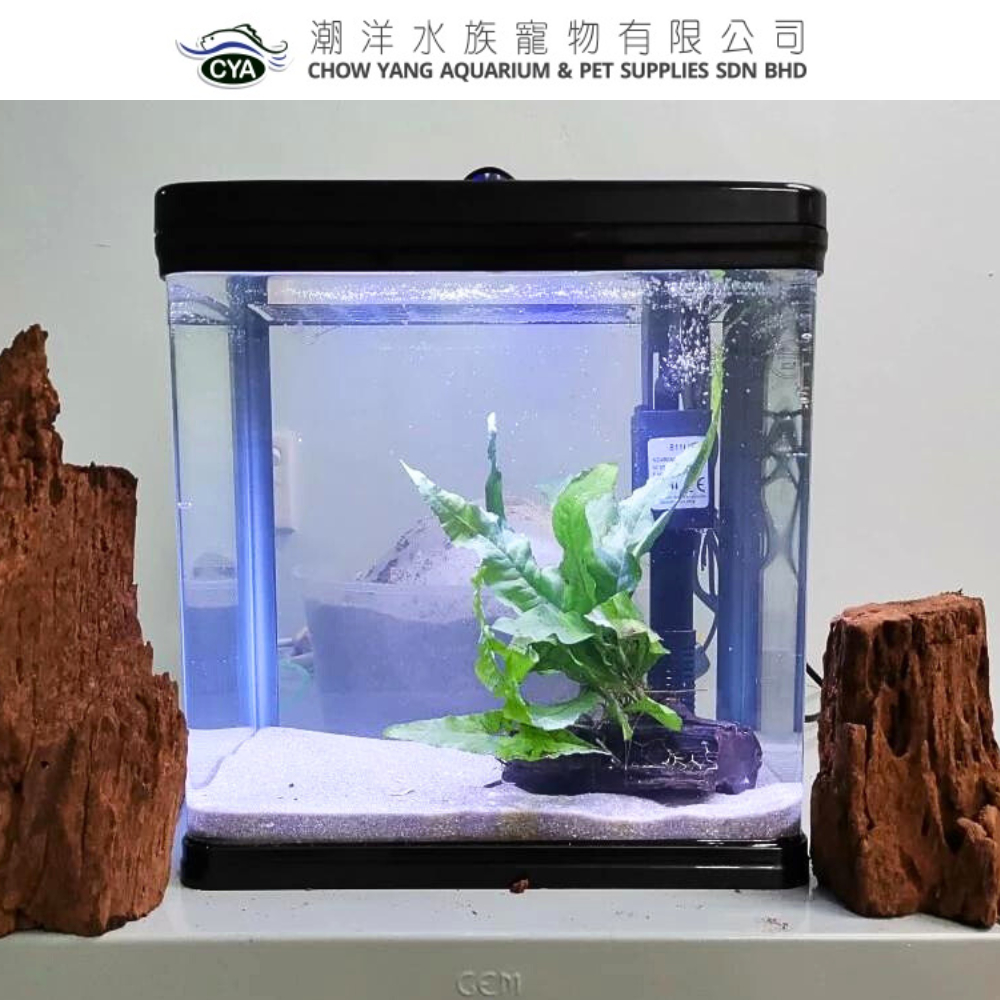 Aquarium SOBO Akuarium Mini Aquarium Set T-240F T-290F pam filter Led ...