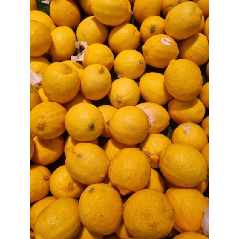 Buah Lemon Segar Gred A | Shopee Malaysia