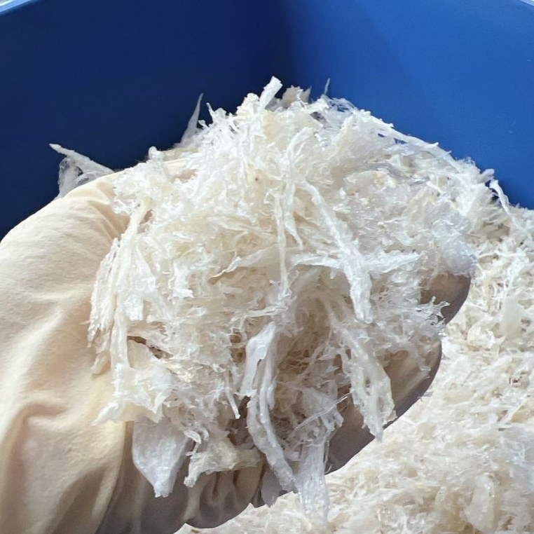 BIRD NEST GRADE A PERPIHAN BERSIH 燕碎 燕窝 （2g） Shopee Malaysia