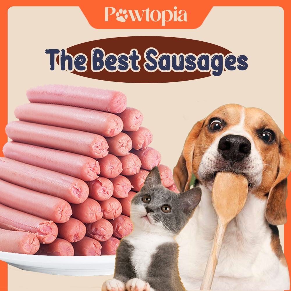 PAWTOPIA Pet Sausage Pet Hotdog Snek Sosej Kucing Anjing Makanan Treats ...