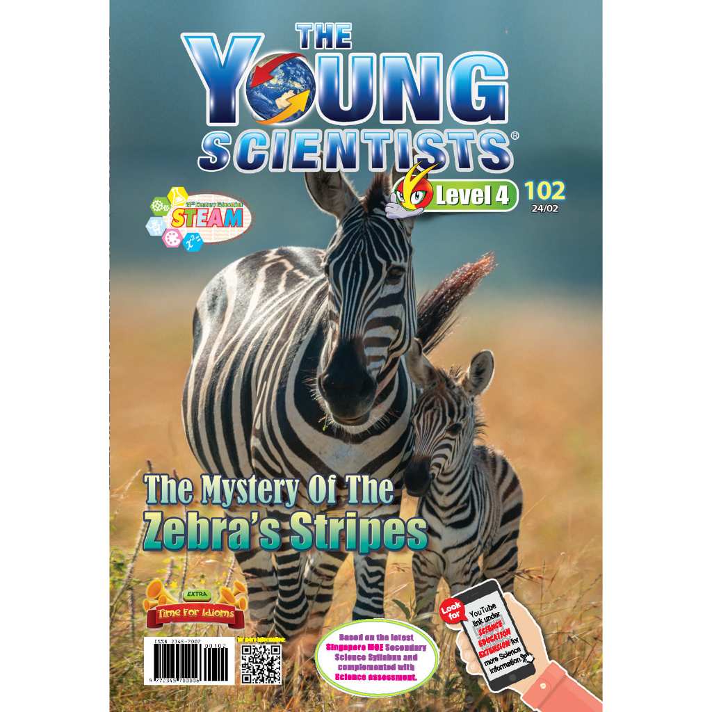 シンガポール雑誌　young scientists level 4 10冊 シンガポール雑誌 young scientists level 4 10冊 Books For Kids