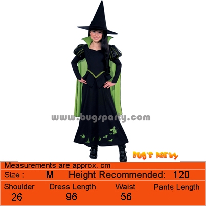 Book characters kids costume, Wizard Dorothy, wicked witch, scarecrow ...