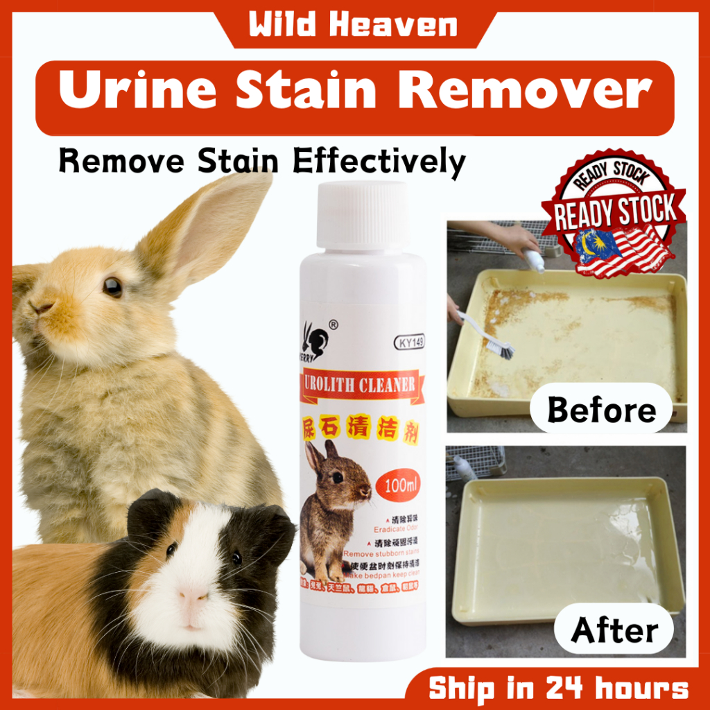 Pet Urine Stain Remover Easy Clean Rabbit Cage Chinchilla Guinea Pig ...