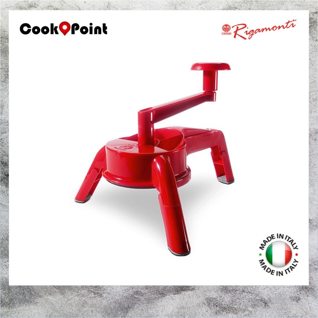 ORIGINAL Made in Italy Rigamonti 4 in 1 Vegetable Cheese Grater ...