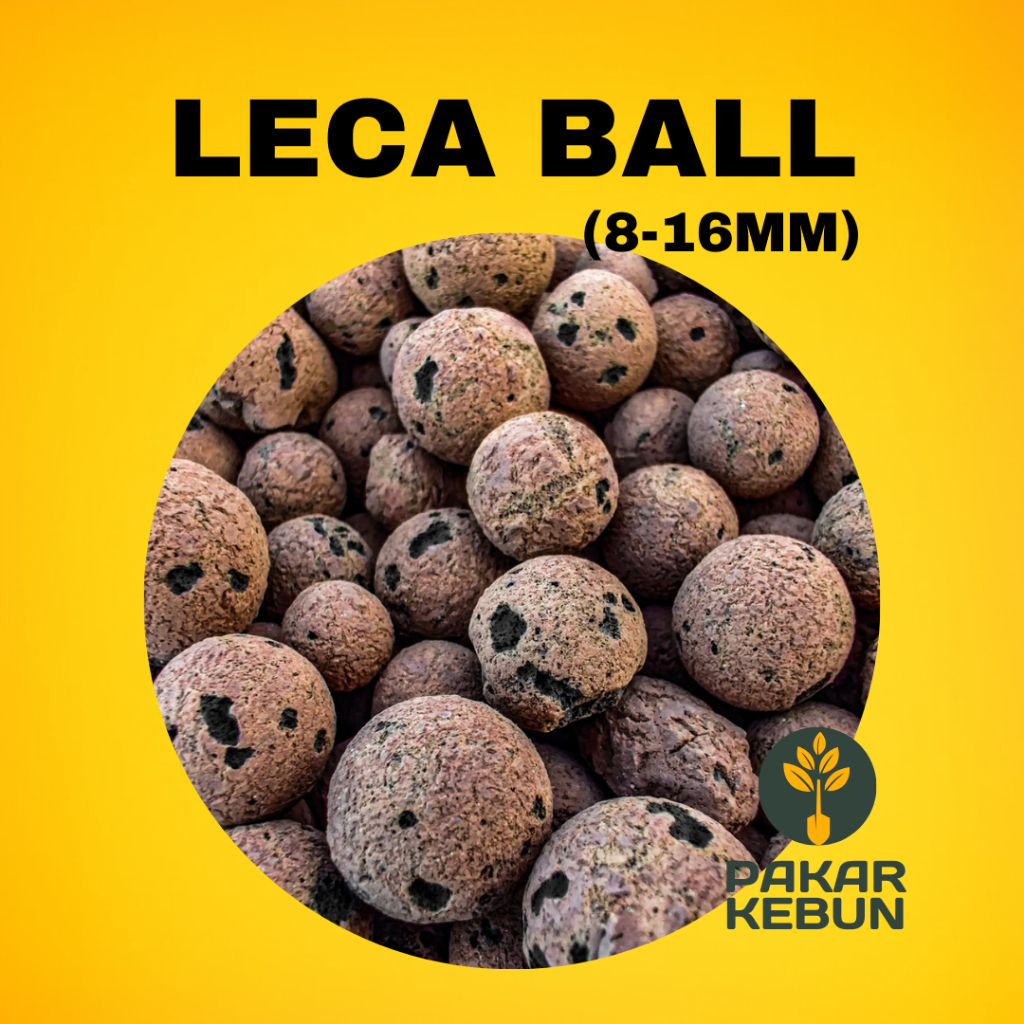 LECA BALL Clay Pebbles (8-16mm) ( LECA Balls / Clay balls ...