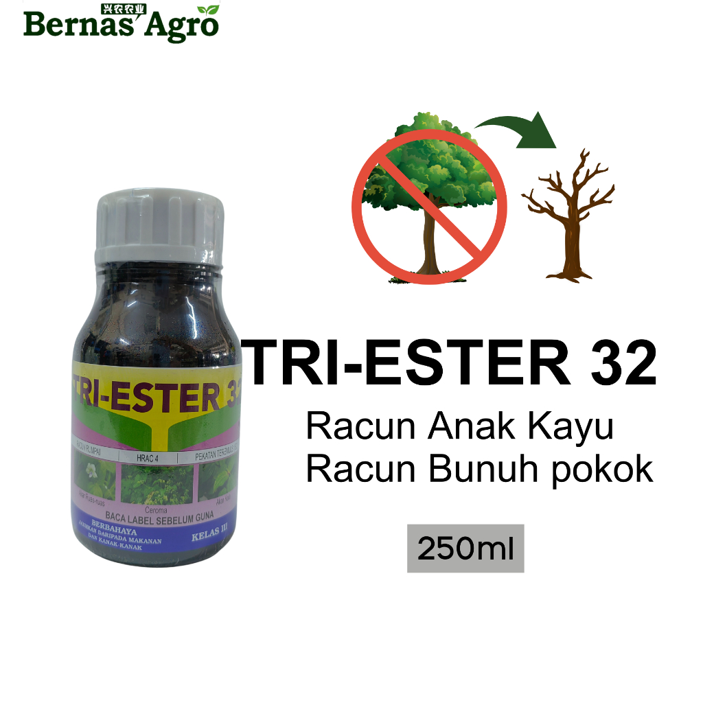 Tri Ester 32 Racun Rumput Serap Matikan Akar Pokok Kayu Besar Ubat ...