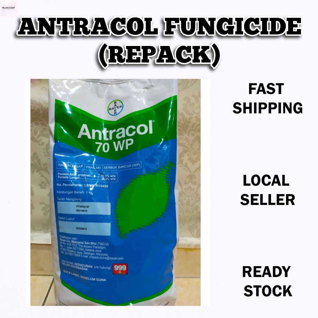 Antracol Fungicide Repacking Racun Kulat Serbuk Bancuh Untuk Pokok