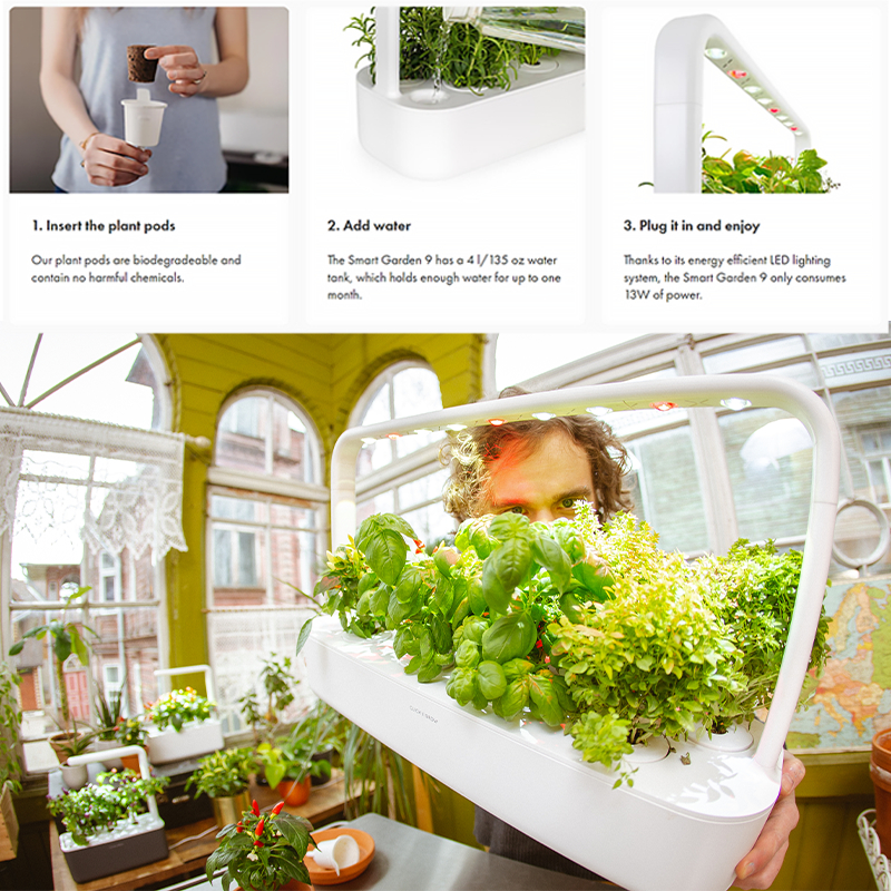 CLICK AND GROW - The Smart Garden 9 