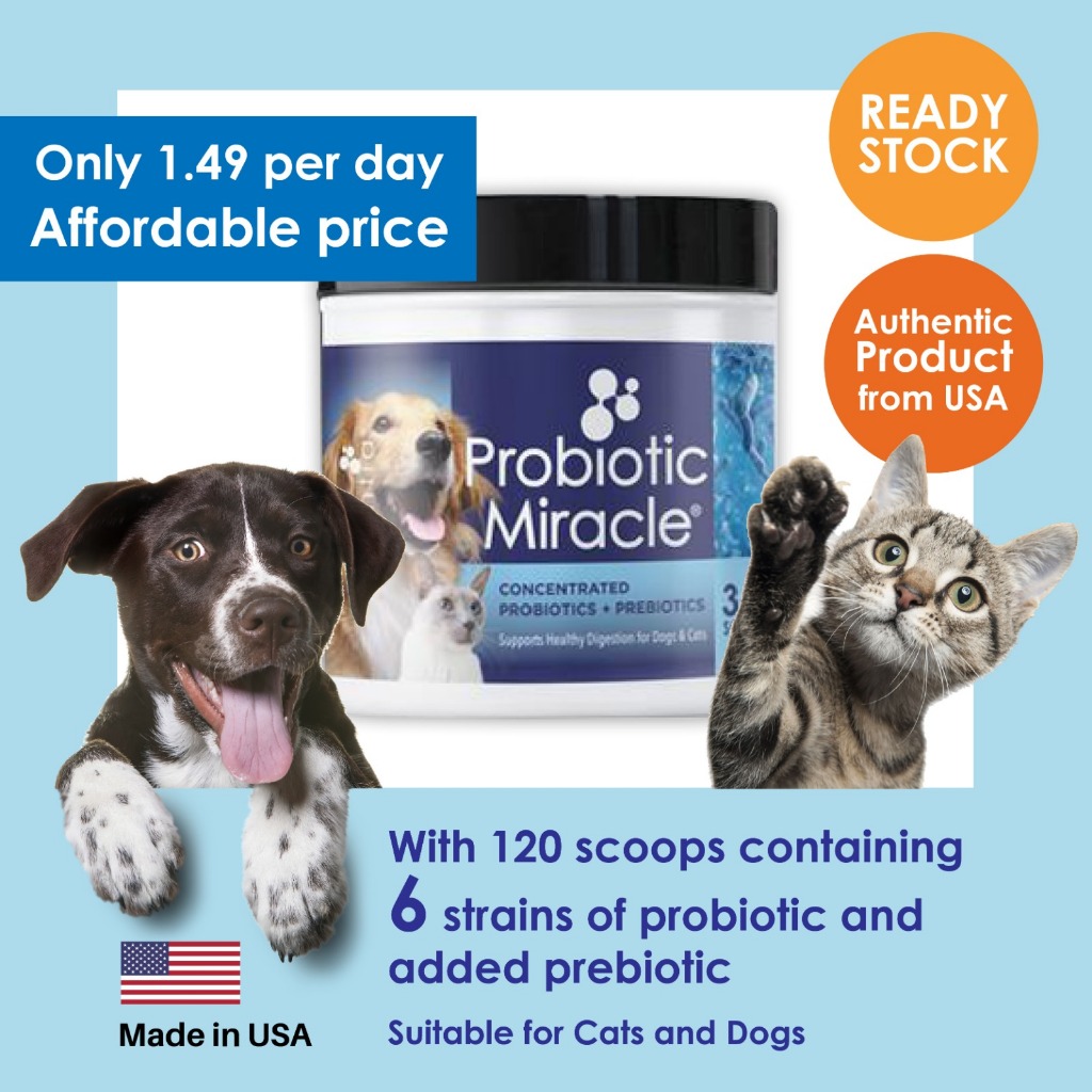 Nusentia USA top rated Probiotic Miracle for Cat and Dogs digestive health immunity support better skin condition Shopee Malaysia