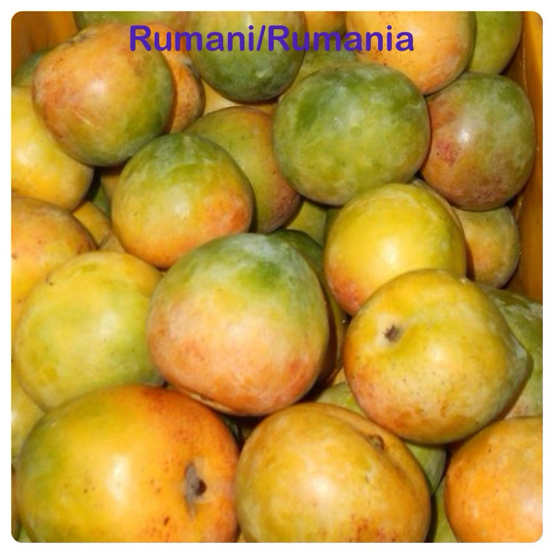 Indian Mango/Rumani/Rumania Mango/indian mango Shopee Malaysia